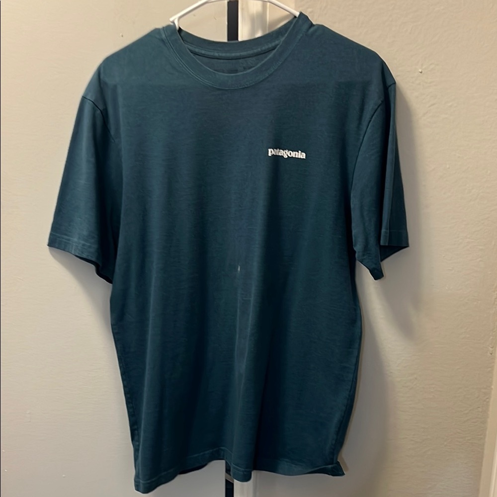 Patagonia Blue and Green Short Sleeve Tee
